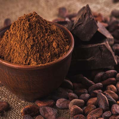Какао-порошок алкализованный  т.м. Master Martini Ariba Cacao Amaro (Ариба Какао Амаро) 22/24